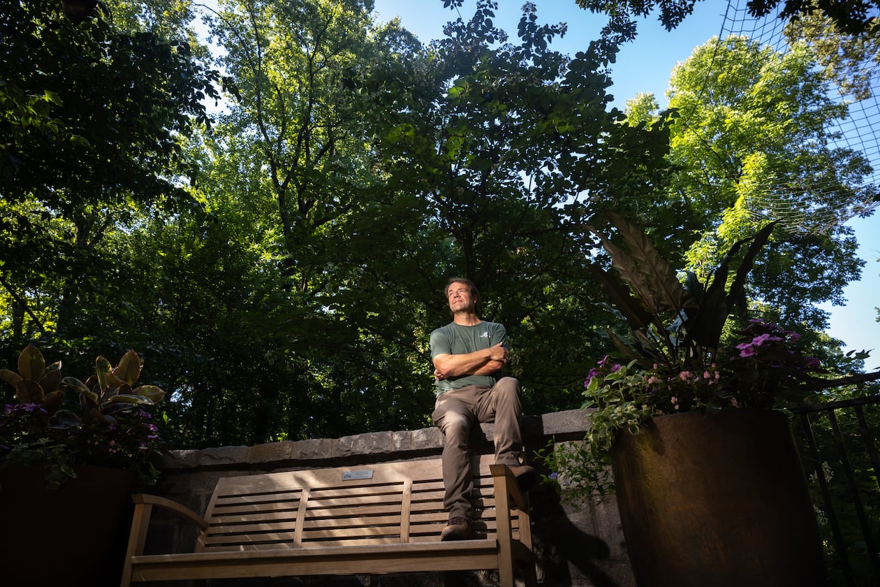 Scott McMahan, vice president of horticulture and collections, sits in front of a rare Chinese emmenopterys henryi tree at Atlanta Botanical Garden. (Arvin Temkar/AJC)