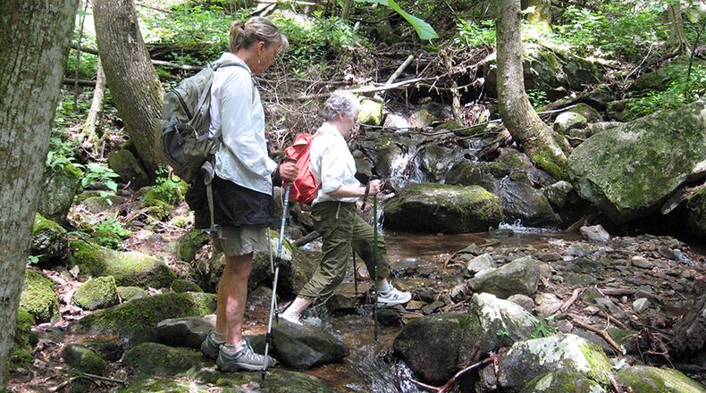 Seniors with the Hearthstone Hikers Club of Forsyth County maneuver the trails at Vogel State Park during a 2014 outing in Blairsville. The hiking group is sponsored by Forsyth County Senior Services. A 2015 report from the University of Wisconsin ranked Forsyth County tops among Georgia counties when it comes to measuring length and quality of life for residents.