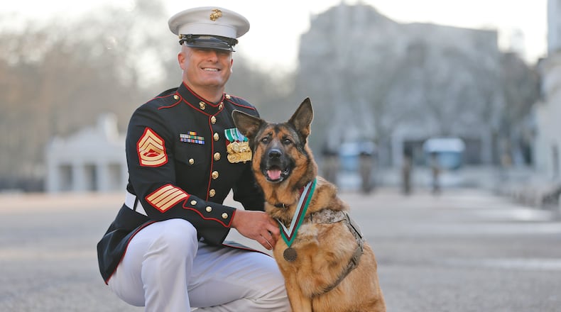 Gunnery sergeant Christopher Willingham, of Tuscaloosa, Alabama, USA, poses with US Marine dog Lucca, after receiving the PDSA Dickin Medal, awarded for animal bravery, equivalent of the Victoria Cross, at Wellington Barracks in London, Tuesday, April 5, 2016. (AP Photo/Frank Augstein)