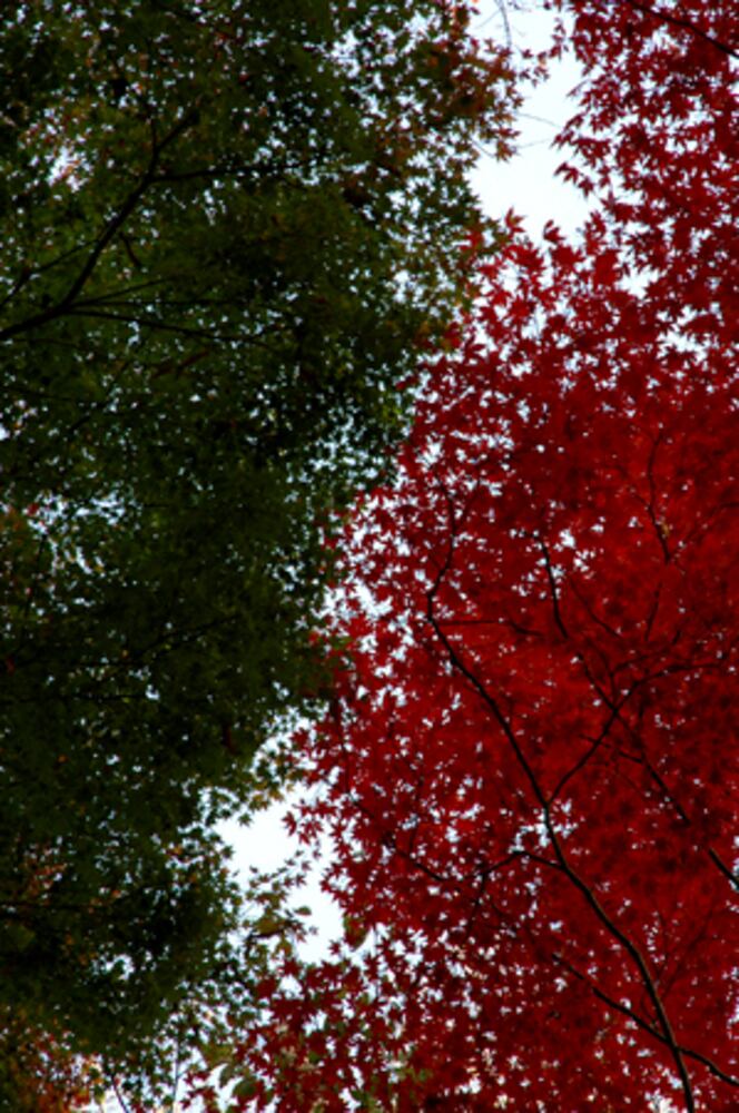 Autumn in Philadelphia