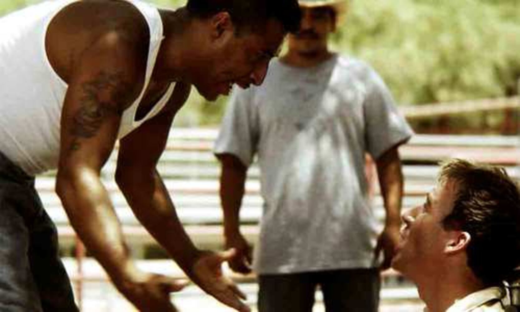 Must-see movies at the 2008 Atlanta Film Fest