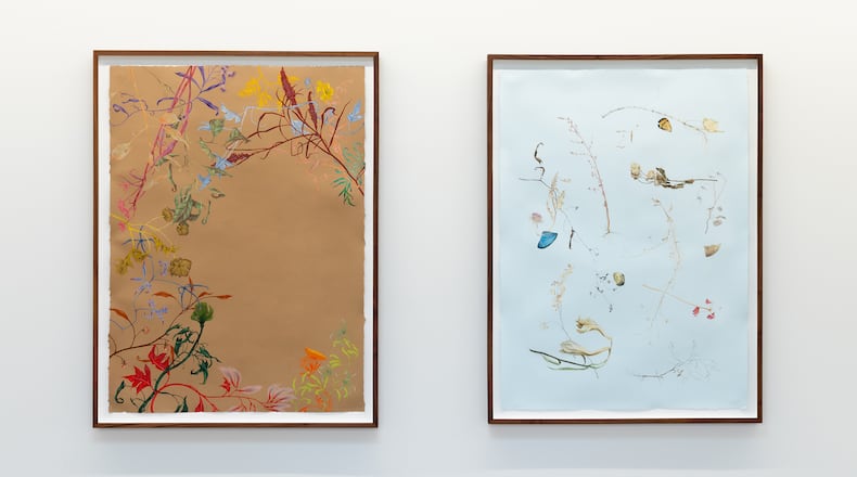 Installation view of "Colour Study, after Kokoschka (flora)," left, and "Summer Bones No. 2," right, both by Zachari Logan.
(Courtesy of Wolfgang Gallery)