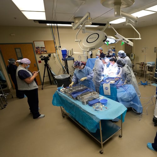 FILE - An organ recovery team works to remove the liver and kidneys from a donor June 15, 2023, in Jackson, Tenn. (AP Photo/Mark Humphrey, File)