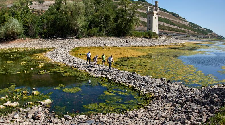 People walk over a stone dam, that is normally covered by water, towards the "Maeuseturm" (mice tower) in the middle of the river Rhine in Bingen, Germany Monday, Aug. 10, 2026. (AP Photo/Michael Probst)