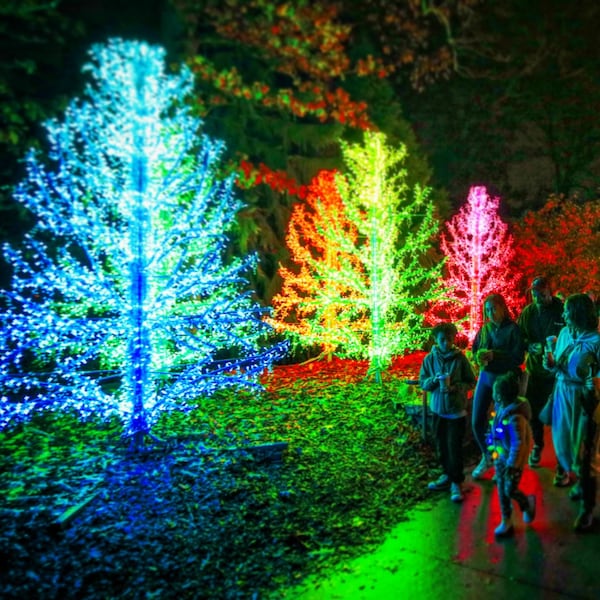 Catch the Atlanta Botanical Garden’s Garden Lights, Holiday Nights on Friday through Sunday (and additional dates). (Photo courtesy of the Atlanta Botanical Garden)
