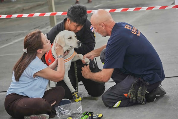 Members of a K9 squad help Nuan wear socks to protect her feet at the site of an under-construction high-rise building that collapsed after an earthquake in Bangkok, Thailand, Tuesday, April 1, 2025. (AP Photo/Sakchai Lalit)