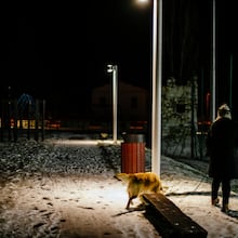 Data from the National Poll on Healthy Aging show that in 2024, 33 percent of older adults felt lonely some of the time or often.(Ensens/Dreamstime/TNS)