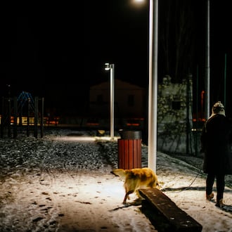 Data from the National Poll on Healthy Aging show that in 2024, 33 percent of older adults felt lonely some of the time or often.(Ensens/Dreamstime/TNS)