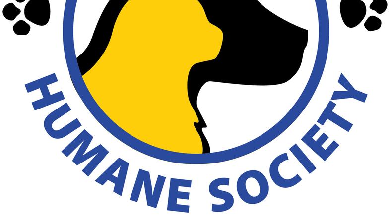 A one-year grant will help provide veterinary care for homeless cats and dogs in Fayette County. Courtesy FHS