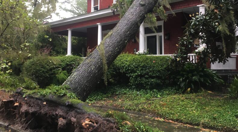 Insurance claims, so far, put the damage in Georgia from Irma, which arrived in the state as a tropical storm, at $670 million, according to the state Department of Insurance. In metro Atlanta, downed trees caused much of the damage. Photo: Jennifer Brett, jbrett@ajc.com