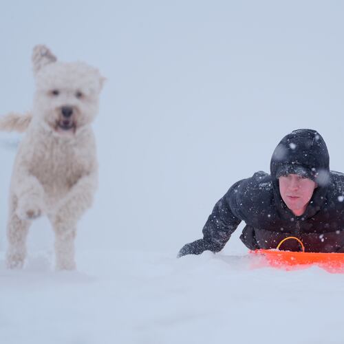 Alex Taylor, 23, and his dog Daisy, make their way down a snowy hill in Charlotte, N.C., Saturday, Jan. 31, 2026. (AP Photo/Erik Verduzco)