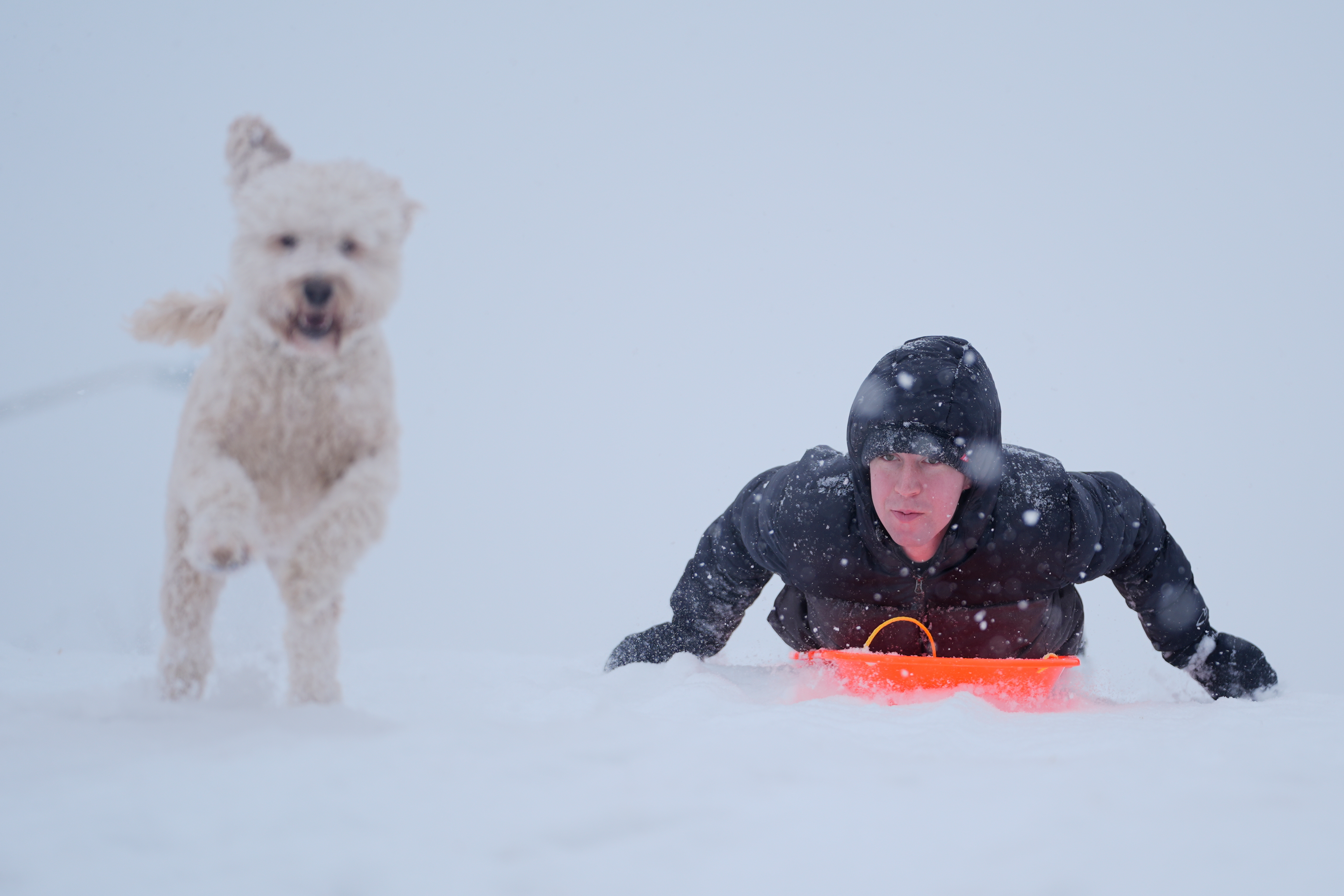 Alex Taylor, 23, and his dog Daisy, make their way down a snowy hill in Charlotte, N.C., Saturday, Jan. 31, 2026. (AP Photo/Erik Verduzco)