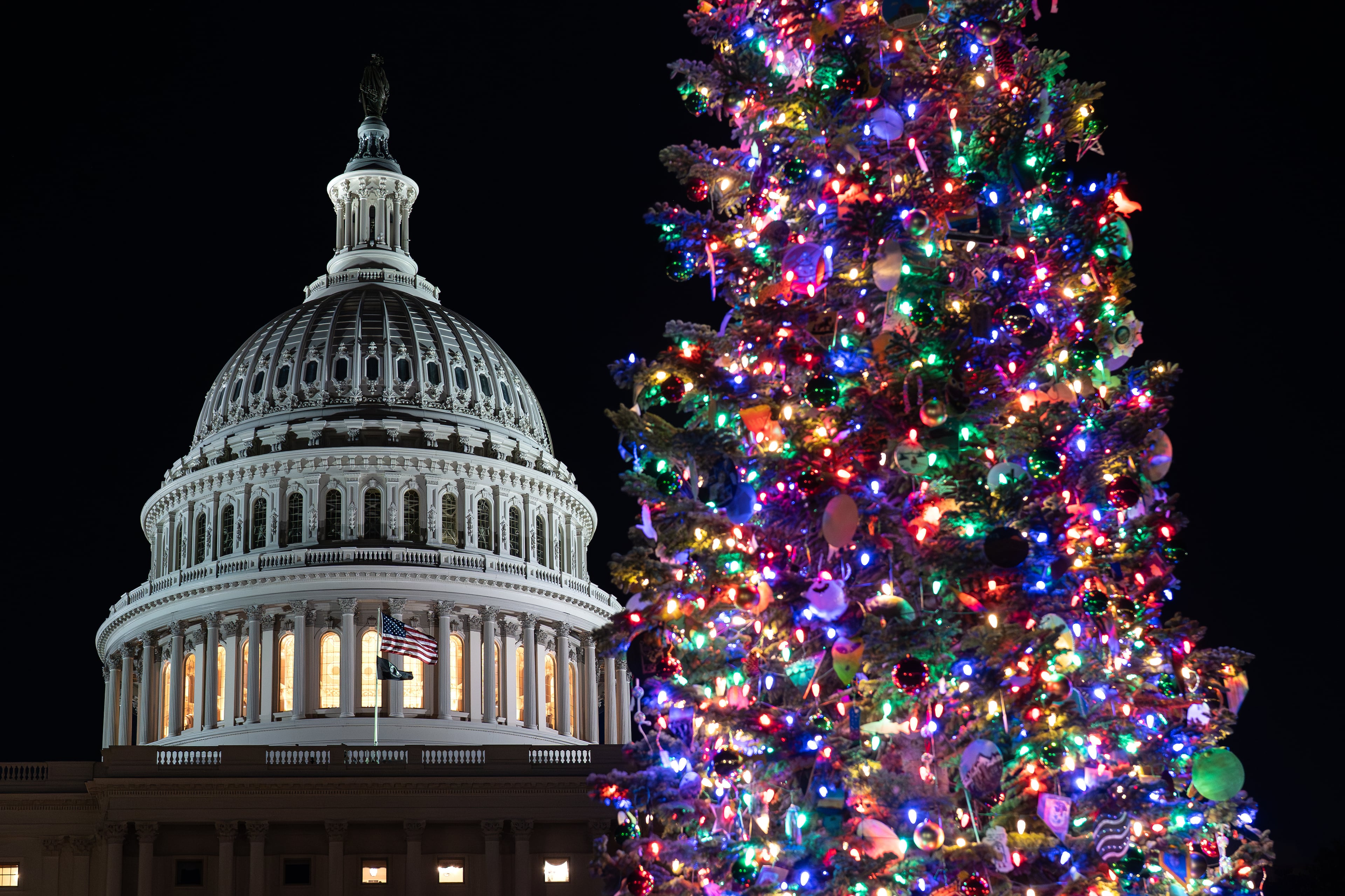 The U.S. Capitol Christmas tree is from the Humboldt-Toiyabe National Forest in Nevada. (J. Scott Applewhite/AP)