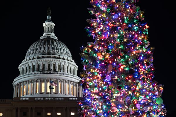 The U.S. Capitol Christmas tree is from the Humboldt-Toiyabe National Forest in Nevada. (J. Scott Applewhite/AP)