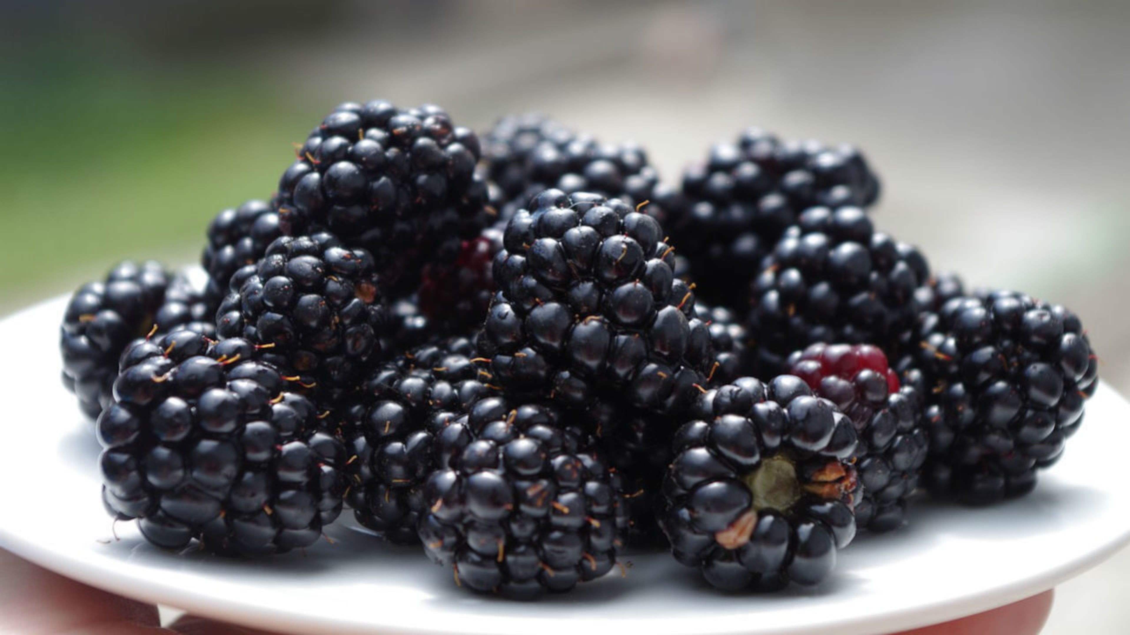 New to the "Dirty Dozen" list are blackberries, which were first tested for pesticides in 2023 by the US Department of Agriculture. (Ajale/Pixabay)