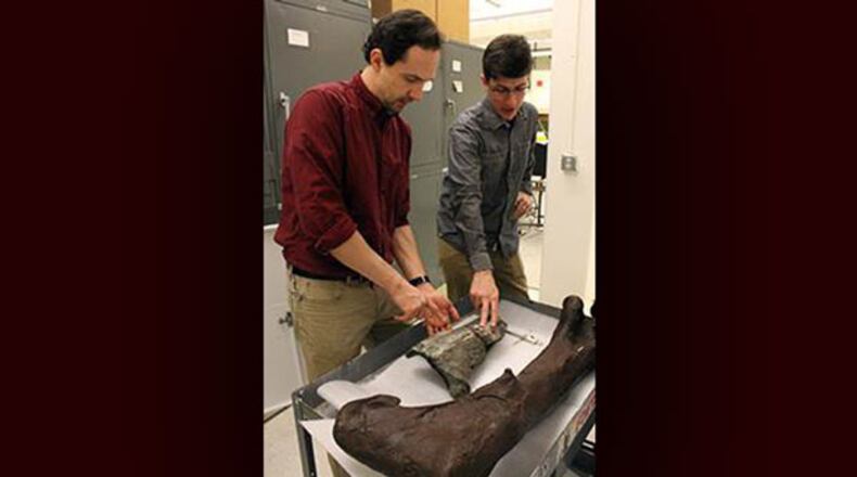 Paleontologists aren’t able to identify the exact family or species the fossil belongs to, because it is incomplete. (Photo: Burke Museum)