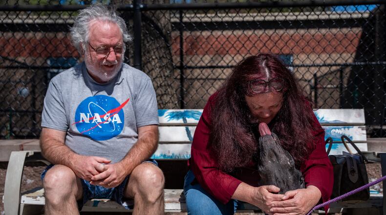 Jackie Harris, right, and Stephen Harris pick out a new dog to take home at the Gwinnett County Animal Shelter on Tuesday, March 25, 2025. (Olivia Bowdoin for the AJC)