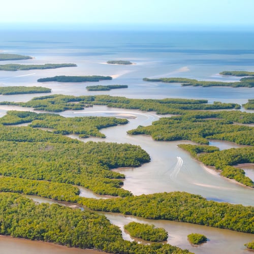 Ten Thousand Islands National Wildlife Refuge is one of several protected areas in the Florida Everglades.
(Courtesy of Naples Marco Island Everglades CVB)