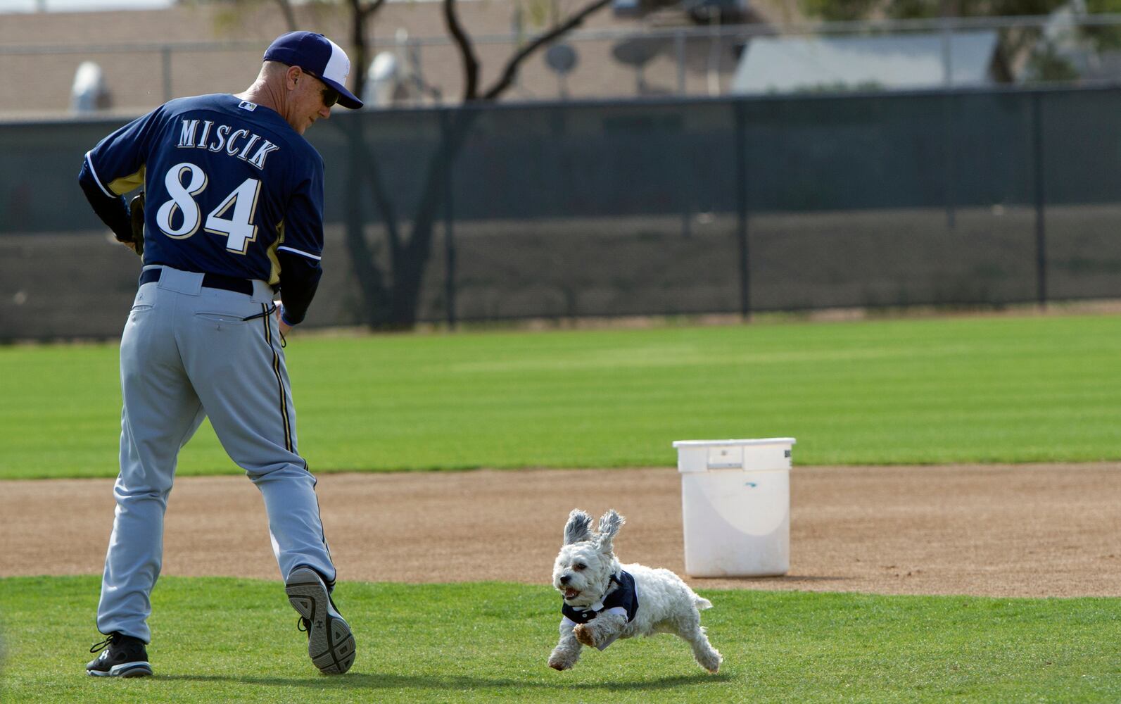 Milwaukee Brewers adopt stray, name it "Hank" after Hank Aaron