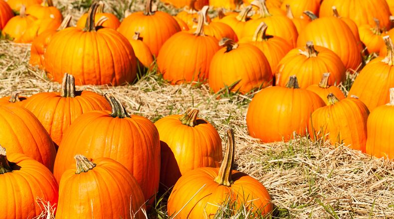 A pumpkin patch is now open the Bridge to Grace Covenant Church on Holcomb Bridge Road in Roswell. The church will host a fall festival on Oct. 13.