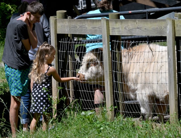 Visitors pet farm animals at Hooves and Feathers Petting Farm. (Hyosub Shin/AJC)