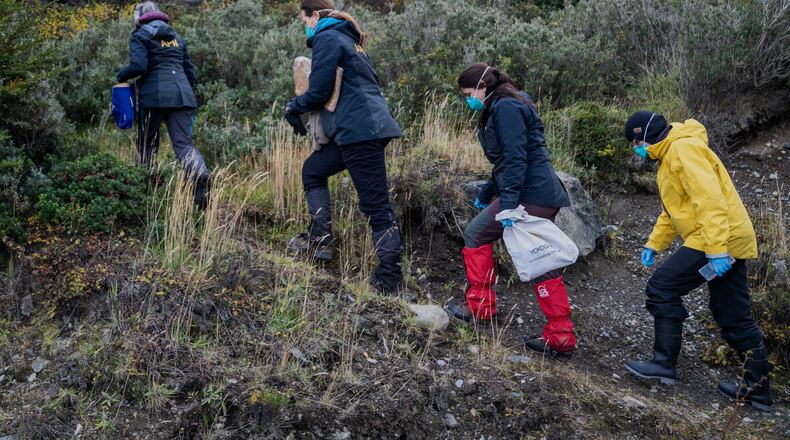 Argentine scientists collect traps placed at different points across Ushuaia, Argentina, Tuesday, May 19, 2026, as part of an investigation for the source of the hantavirus outbreak on the MV Hondius cruise ship. (AP Photo/Lujan Agusti)