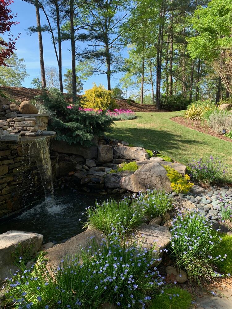 Photos: Best Gardens submitted by AJC readers