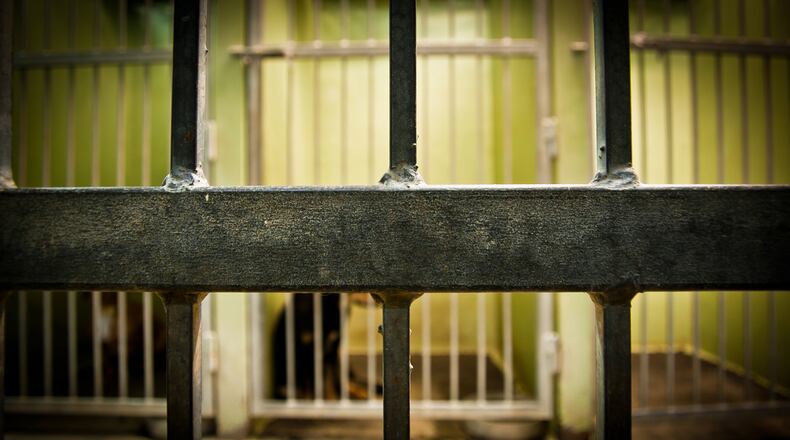 Cherry Lynn Walker, 71, and Neil Klopsch, 48, were arrested Jan. 12 on 67 counts of aggravated animal cruelty and one count of neglecting a disabled person.