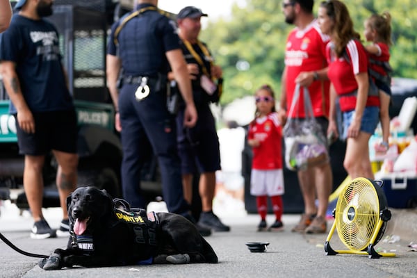 Dory, an explosive certified dog, cools down in front of a fan outside of Bank of America Stadium before the start of a FIFA Club World Cup game, Tuesday, June 24, 2025, in Charlotte, N.C. (AP Photo/Erik Verduzco)