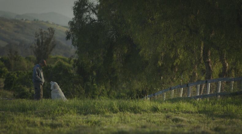 A still from The Biggest Little Farm by John Chester.