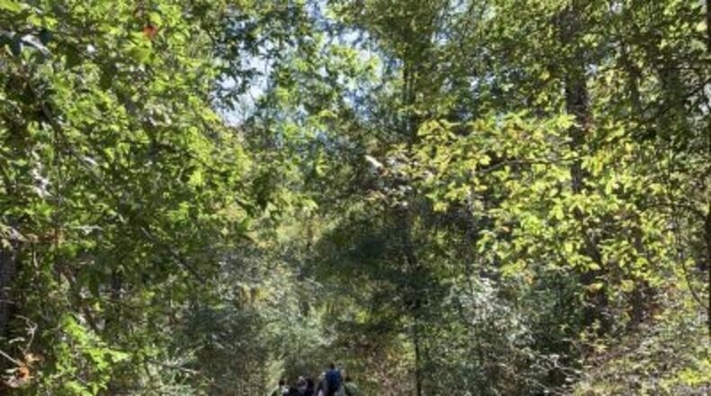 The Arabia Mountain Heritage Area Alliance, Davidson-Arabia Mountain Nature Preserve, Friends of Panola Mountain State Park, Panola Mountain State Park and the Stone Mountain Memorial Association invite residents to step into autumn by hiking Georgia’s granite monadnocks during Daisy Days. COURTESY OF ARABIA ALLIANCE