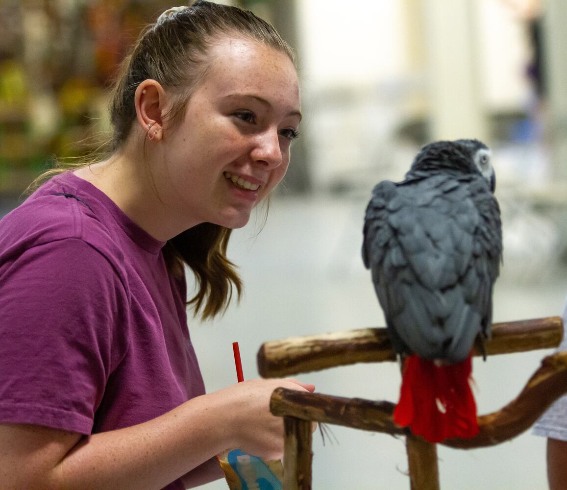 PHOTOS: SA Exotic birds