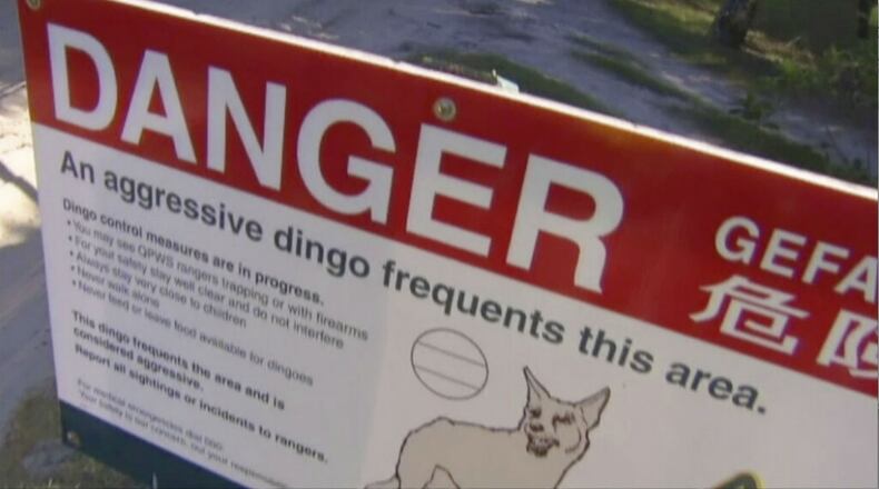 This undated image made from video, shows a sign on dingo on Fraser Island, Australia. Rescue personnel said a father fought off several dingoes to save his 14-month-old son from one of the wild dogs that was dragging the boy from their campervan on an Australian island early Friday, April 19, 2019. (Australian Broadcasting Corporation via AP)