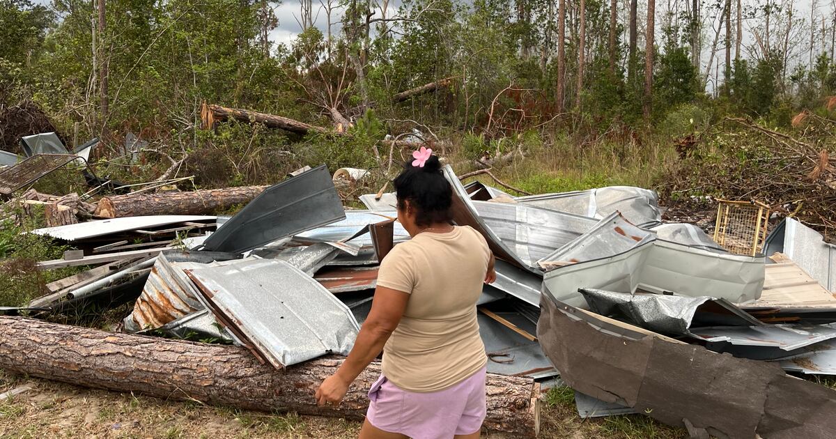 Out-of-sight and struggling: Georgia farmworkers still reeling from Helene
