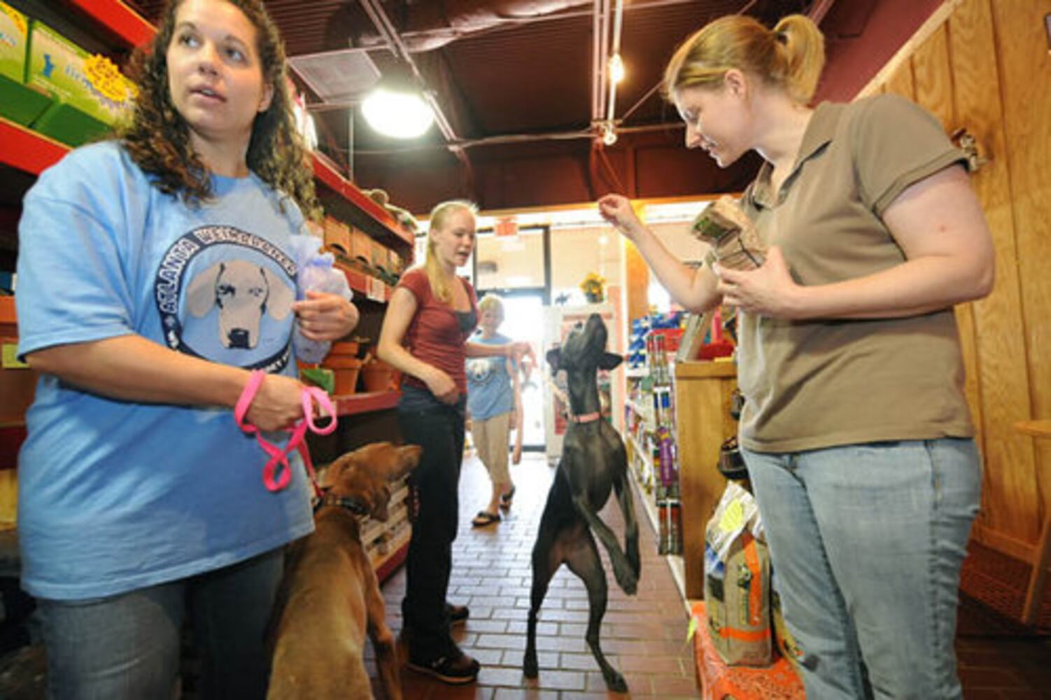 Dog wash fundraiser