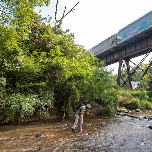 An archaeologist looks for quartz, soapstone or flint that shows evidence of Native American activity in the South River in 2023. (Jenni Girtman for the AJC)