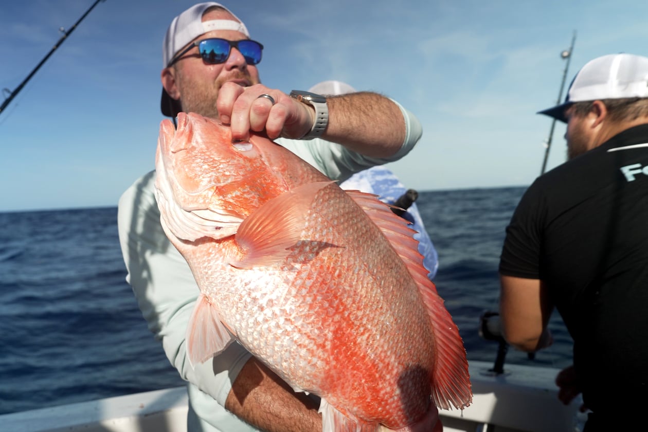 Chris Kemp holds up a red snapper he caught on a charter boat before releasing it back into the water miles off the coast of St. Augustine, Fla., on May 22, 2026. (Shelby Lum/AP)