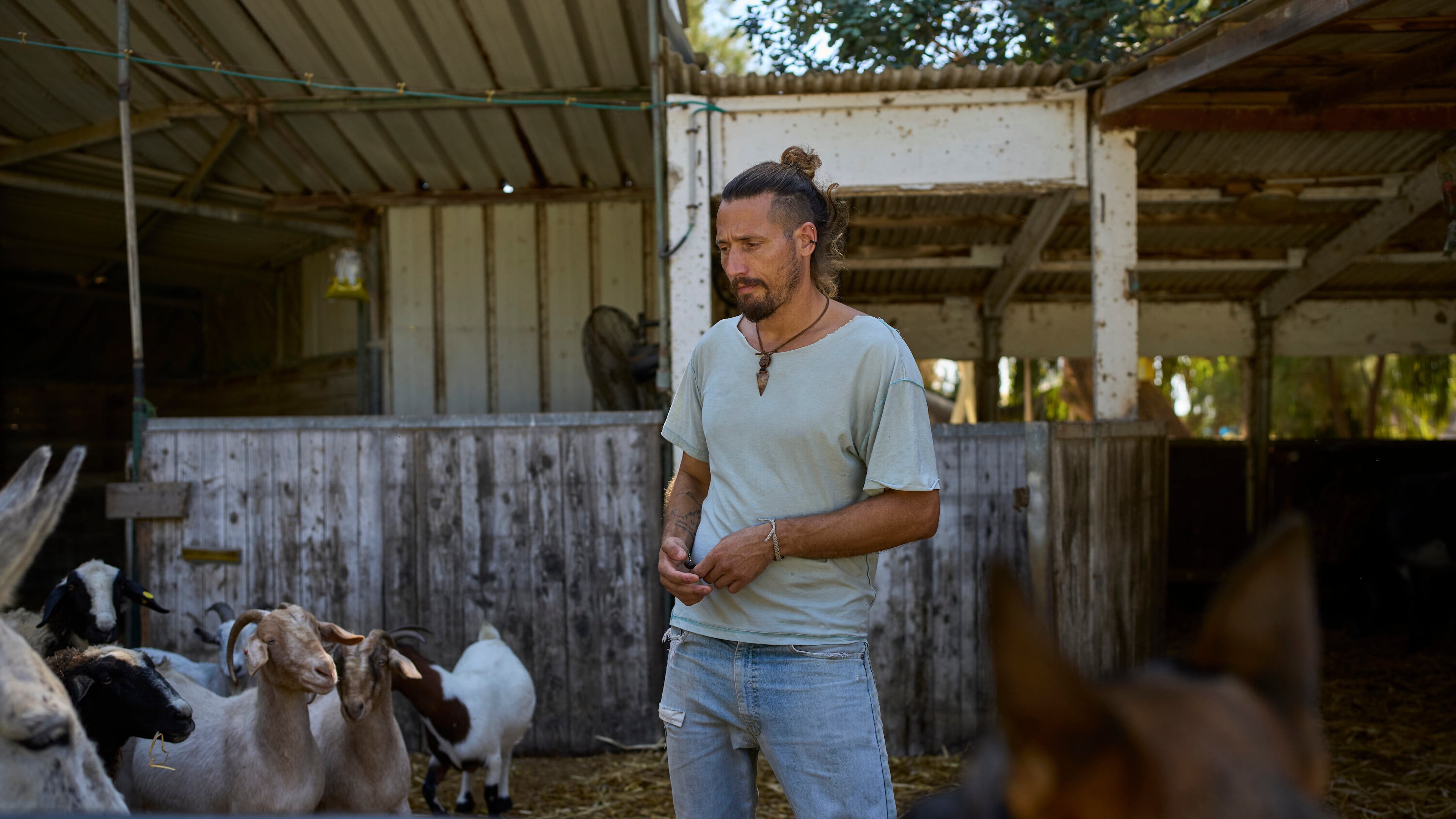 Assi Nave, founder of Back2Life, stands in the farm in Kibbutz Sdot Yam, Israel, on Oct. 16, 2025. The group helps soldiers combat mental health problems by working with animals. (AP Photo/Ohad Zwigenberg)
