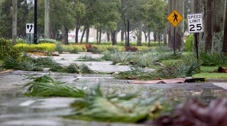 Palm fronds scattered by hurricane Irma on Olive Road near the Mall at Wellington Green in Wellington, Florida on September 10, 2017. (Allen Eyestone / The Palm Beach Post)