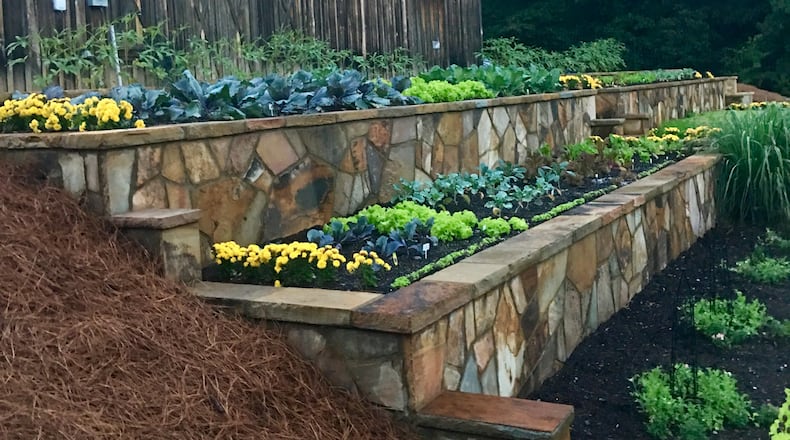 The Sally Adams Vegetable Terraces at the Columbus Botanical Garden in Columbus, Ga., is a feast for the eyes yet provides needed produce in the community. (Norman Winter/TNS)