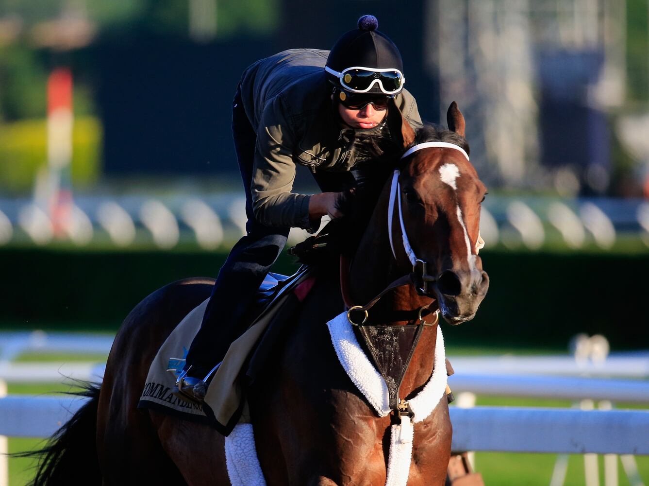 Belmont Stakes preps