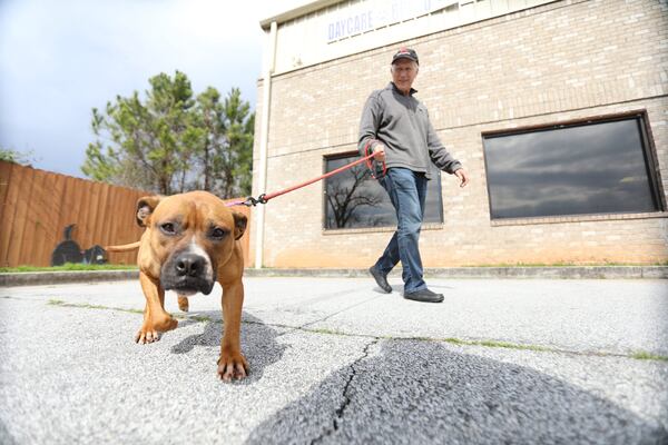 Charlie Kleman walks Lacy outside Happy Paws Inn, where Atlanta Lab Rescue has six kennels that they own to host rescue dogs. MIGUEL MARTINEZ FOR THE ATLANTA JOURNAL-CONSTITUTION