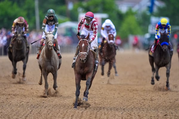Umberto Rispoli, atop Journalism, reacts after winning the the 150th running of the Preakness Stakes horse race Saturday, May 17, 2025, at Pimlico Race Course in Baltimore. (AP Photo/Nick Wass)