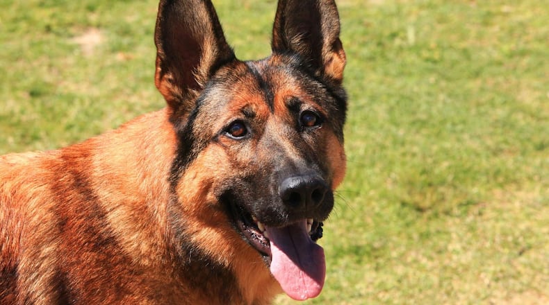 FILE PHOTO (Pixabay license: https://pixabay.com/en/service/terms/#usage)