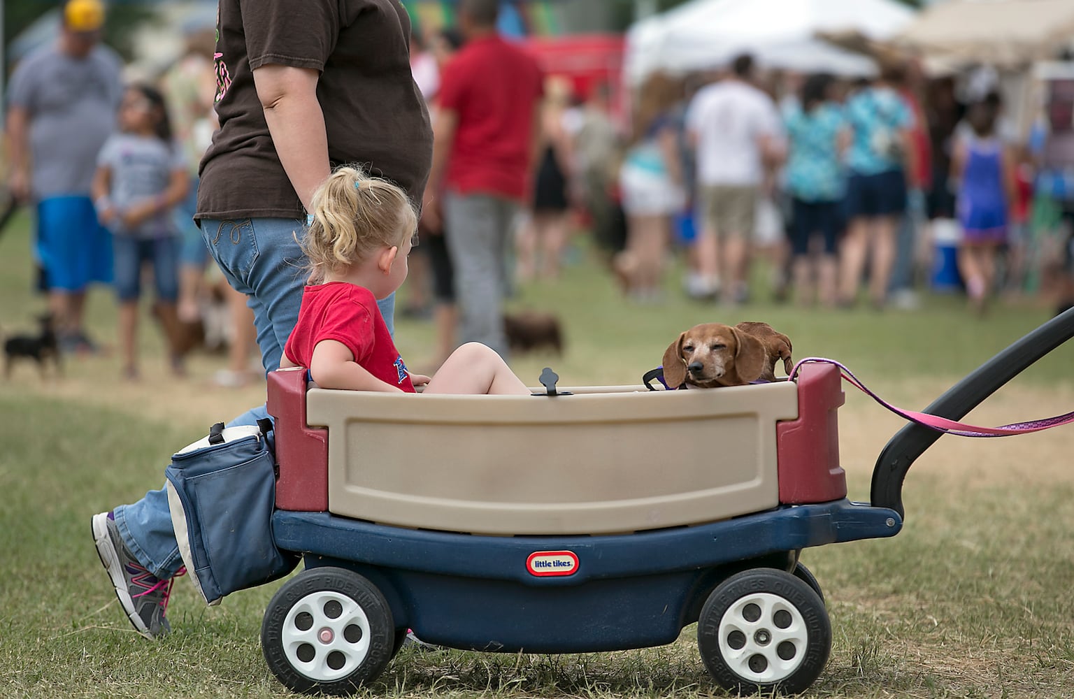 Buda Wiener Dog Race, 4.26.15