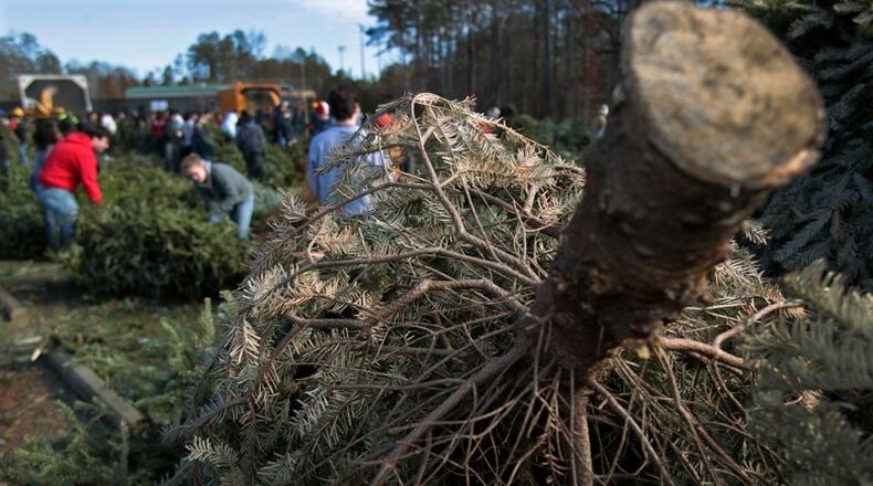 Roswell residents can drop off live Christmas trees for recycling at two local Home Depot stores for “Bring One for the Chipper” Saturday, Jan. 5. AJC FILE