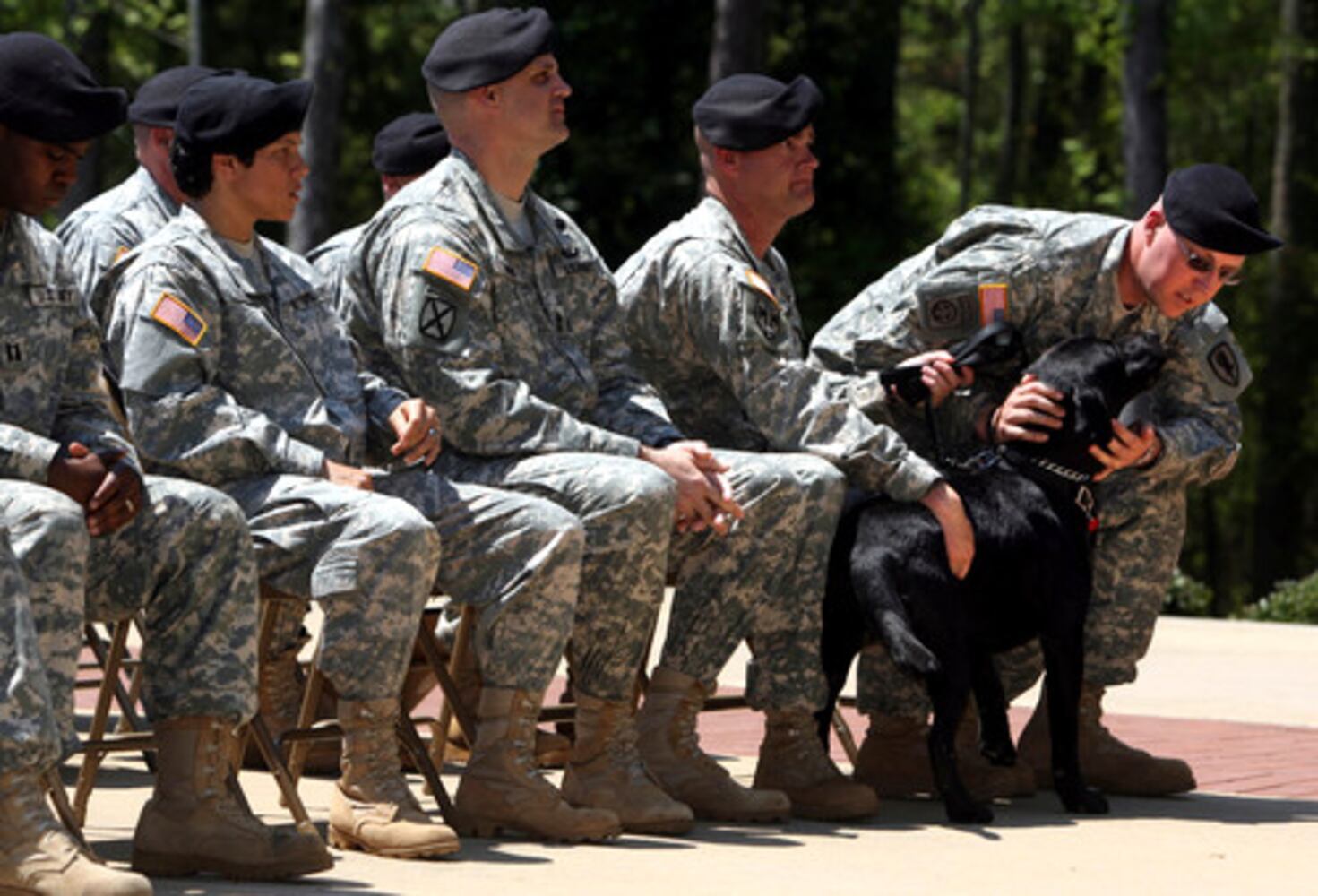 In tribute, an Army dog comes home