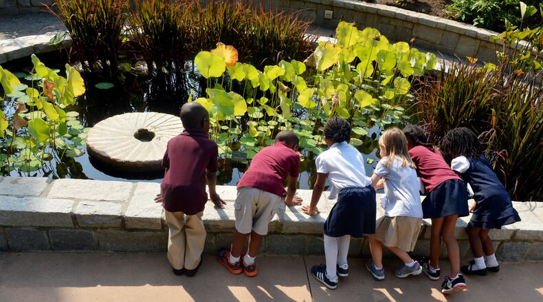 Schoolchildren look for tadpoles in the Atlanta Botanical Gardens’ edible garden area pond on Sept. 9, 2013. KENT D. JOHNSON / KDJOHNSON@AJC.COM
