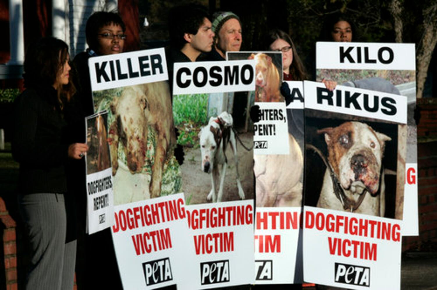 Vick pleads guilty to state dogfighting charges