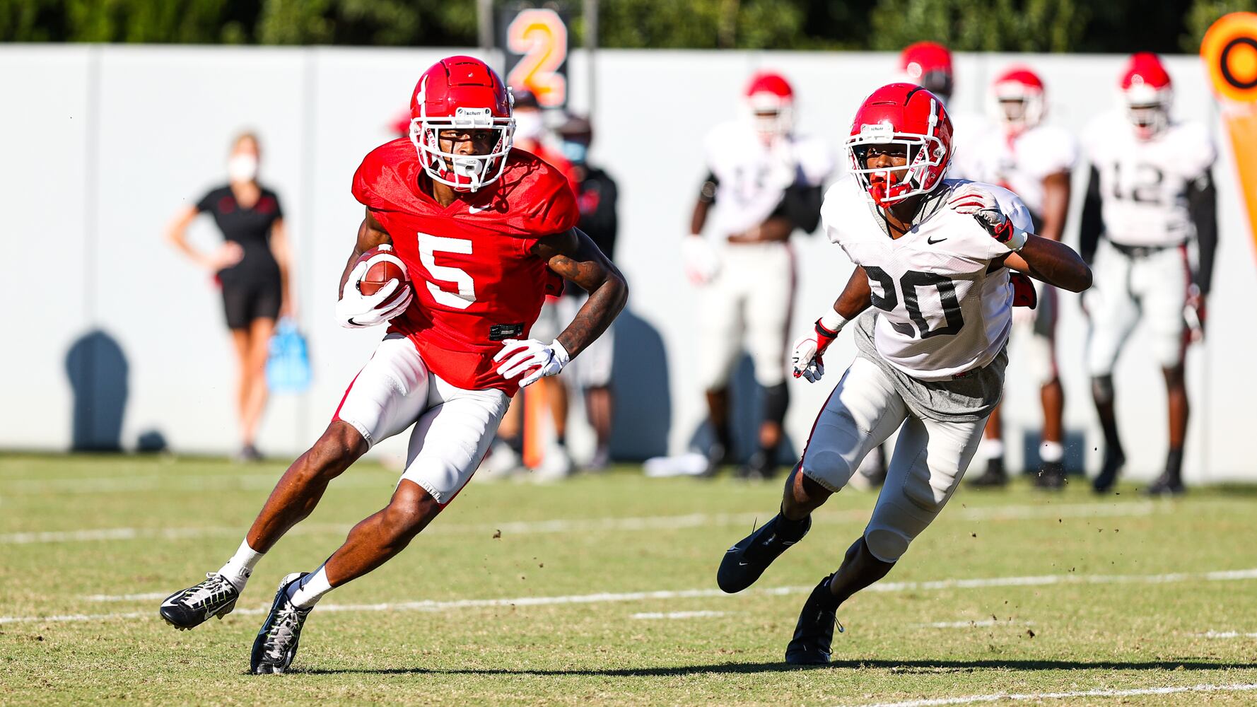 Georgia Bulldogs
